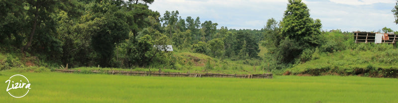 Farm located in Meghalaya