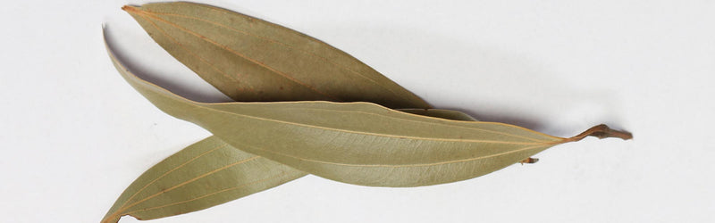 Bay Leaf for Diabetes - Find Out How Good