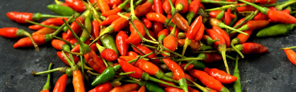 Bird's Eye Chilli from Mizoram